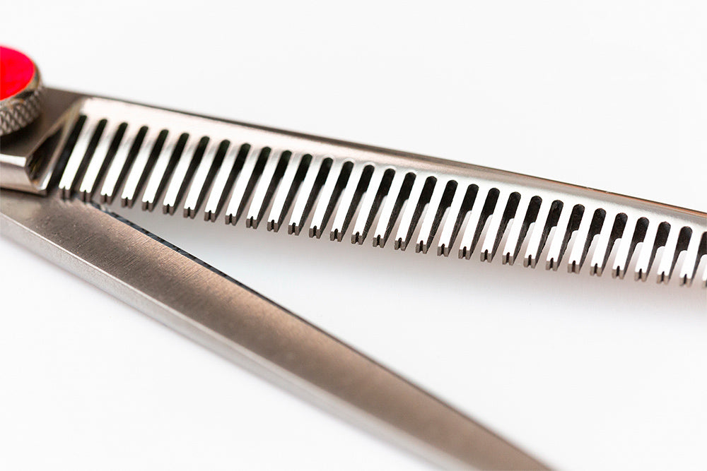 Monet Cutting and Thinning Scissor Set (5.5")
