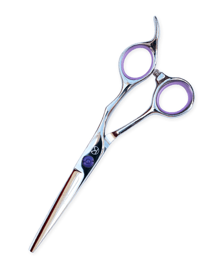 Student Cutting and Thinning Scissor Set