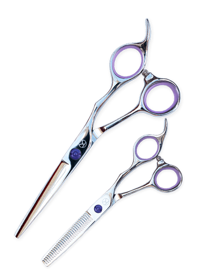 Student Cutting and Thinning Scissor Set
